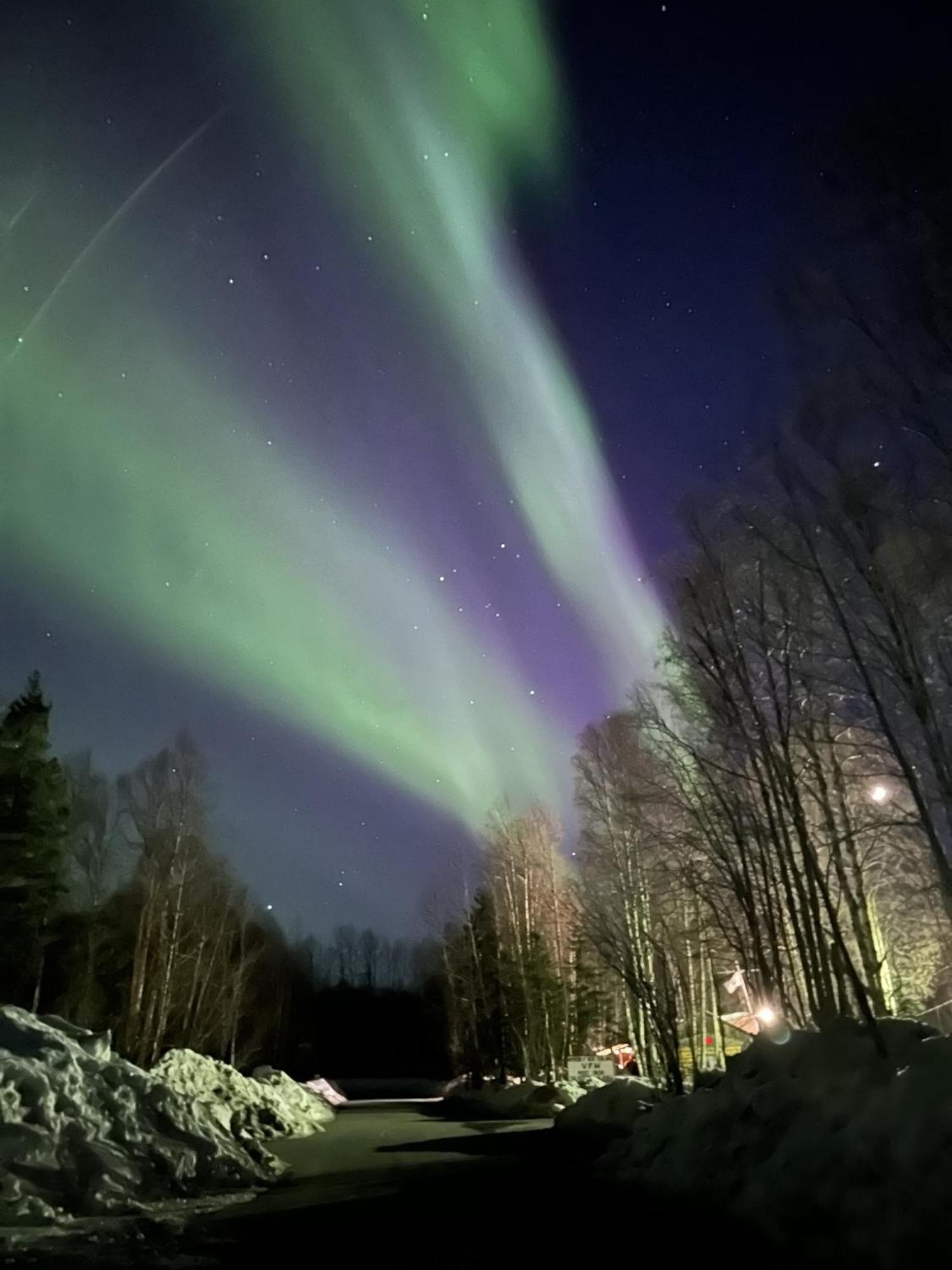 Talkeetna Villas And Tours 외부 사진